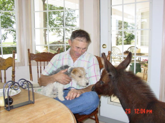 Brown goat at Denim n Dirt Ranch