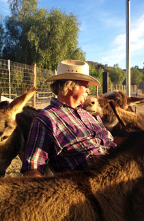 Goat with hay at Denim n Dirt Ranch