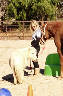 Two goats at Denim n Dirt Ranch